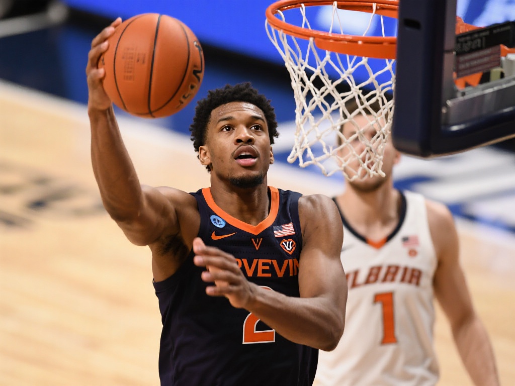 呈现给裁判 呈现给裁判